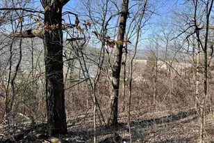 16410 Waltz Ln, Boscobel,  53805 - Photo 43