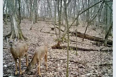 16410 Waltz Lane, Boscobel,  53805 - Photo 63