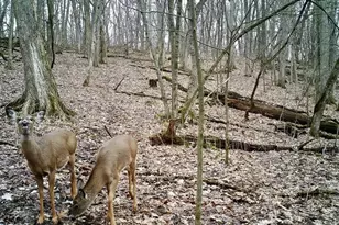 16410 Waltz Ln, Boscobel,  53805 - Photo 63