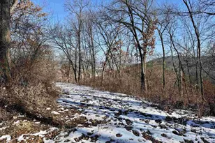 16410 Waltz Ln, Boscobel,  53805 - Photo 33