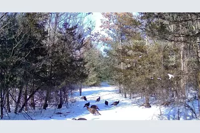 E13848 Dan Mar Court, Merrimac, WI 53561 - Photo 35