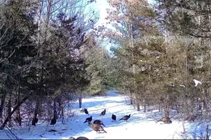 E13848 Dan Mar Ct, Merrimac, WI 53561 - Photo 35