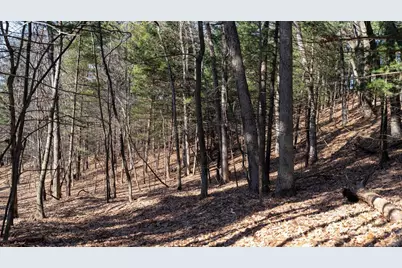 W7113 Leigh Road, Mauston, WI 53948 - Photo 17