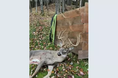 W7113 Leigh Road, Mauston, WI 53948 - Photo 11