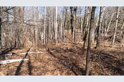 W7113 Leigh Road, Mauston, WI 53948 - Photo 49