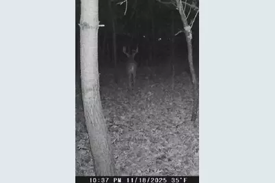 W7113 Leigh Road, Mauston, WI 53948 - Photo 7