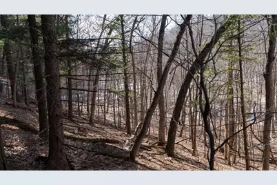 W7113 Leigh Road, Mauston, WI 53948 - Photo 25