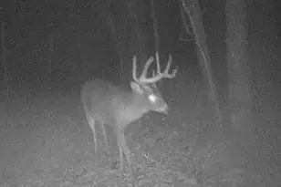 W7113 Leigh Rd, Mauston, WI 53948 - Photo 1