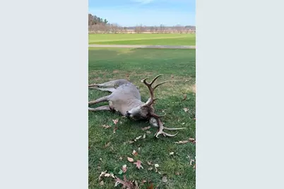 W7113 Leigh Road, Mauston, WI 53948 - Photo 3