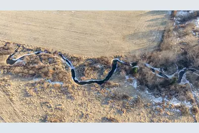 125+/- Ac North Rd Road, Mauston, WI 53948 - Photo 3