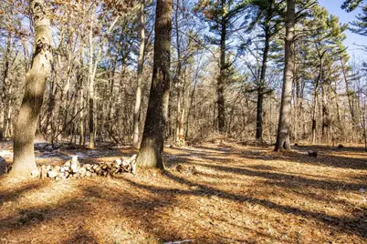 W3751 7th Street, Necedah, WI 54646 - Photo 3