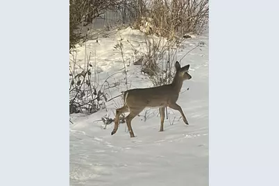 2638 Sweet Sparrow Place, Sun Prairie, WI 53590 - Photo 65