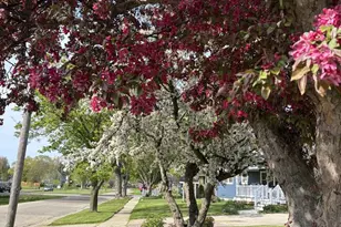 926 Hillcrest Dr, Fort Atkinson, WI 53538 - Photo 3