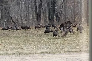 W15501 US Hwy 10, Fairchild, WI 54741 - Photo 71