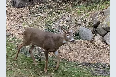9714 Highway 19, Mazomanie, WI 53560 - Photo 71