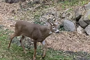 9714 Hwy 19, Mazomanie, WI 53560 - Photo 71