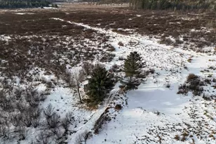 7223 County Hwy V, Marshfield, WI 54449 - Photo 15