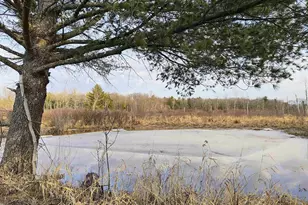 7223 County Hwy V, Marshfield, WI 54449 - Photo 5