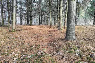 7223 County Hwy V, Marshfield, WI 54449 - Photo 11