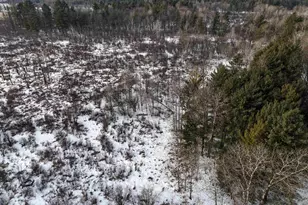 7223 County Hwy V, Marshfield, WI 54449 - Photo 33