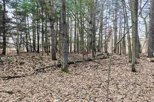 7223 County Hwy V, Marshfield, WI 54449 - Photo 9