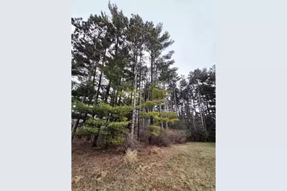 913 Forest Trail, Portage, WI 53901 - Photo 5