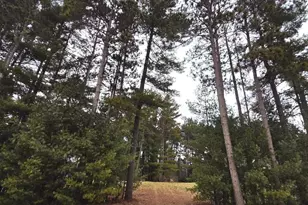 913 Forest Trail, Portage, WI 53901 - Photo 1