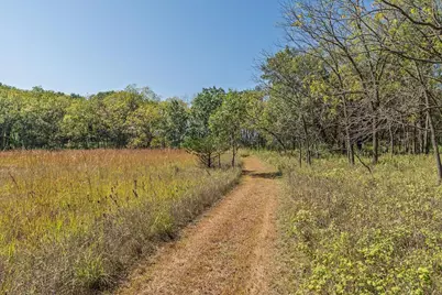 35.42 Acres Fox River Road, Portage, WI 53901 - Photo 9
