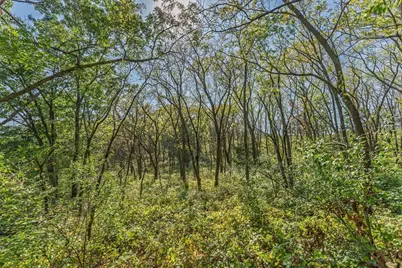35.42 Acres Fox River Road, Portage, WI 53901 - Photo 23