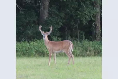 35.42 Acres Fox River Road, Portage, WI 53901 - Photo 41
