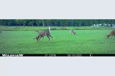 35.42 Acres Fox River Road, Portage, WI 53901 - Photo 43