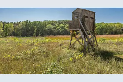 35.42 Acres Fox River Road, Portage, WI 53901 - Photo 5