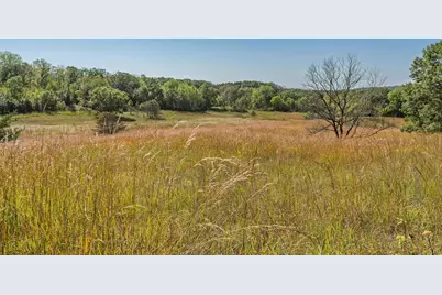 35.42 Acres Fox River Road, Portage, WI 53901 - Photo 17