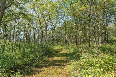 35.42 Acres Fox River Road, Portage, WI 53901 - Photo 11