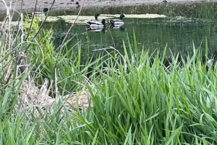 1817 Arboretum Dr, Janesville, WI 53548 - Photo 39