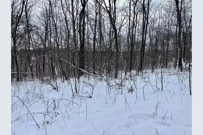 79 Acres, Byers Rd, Boscobel, WI 53805 - Photo 5