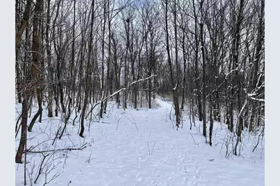 79 Acres, Byers Rd, Boscobel, WI 53805 - Photo 9