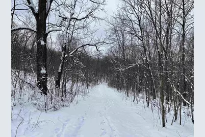 79 Acres, Byers Rd, Boscobel, WI 53805 - Photo 1