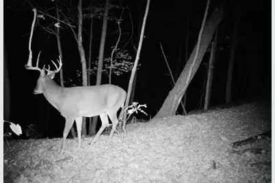 79 Acres, Byers Rd, Boscobel, WI 53805 - Photo 17