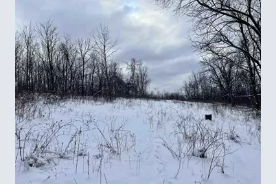 79 Acres, Byers Rd, Boscobel, WI 53805 - Photo 11