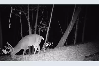 79 Acres, Byers Rd, Boscobel, WI 53805 - Photo 15