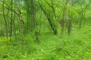 S7165 Lake Rd, Hillpoint, WI 53937 - Photo 23