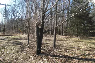 W5042 Fern Ave, Montello, WI 53949 - Photo 5