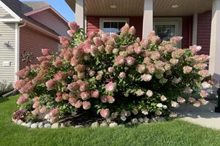 6120 Sledding Pkwy, Mcfarland, WI 53558 - Photo 59