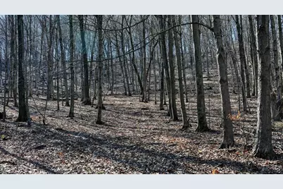 E17497 Gross Valley Lane, Hillsboro, WI 54634 - Photo 25