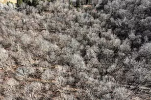 E17497 Gross Valley Ln, Hillsboro, WI 54634 - Photo 37