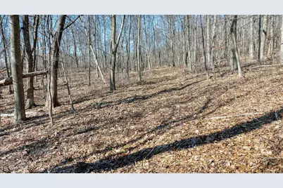 E17497 Gross Valley Lane, Hillsboro, WI 54634 - Photo 51