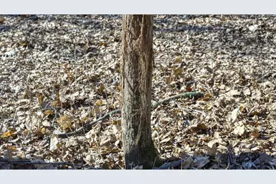 E17497 Gross Valley Lane, Hillsboro, WI 54634 - Photo 5