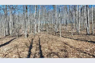 E17497 Gross Valley Lane, Hillsboro, WI 54634 - Photo 43