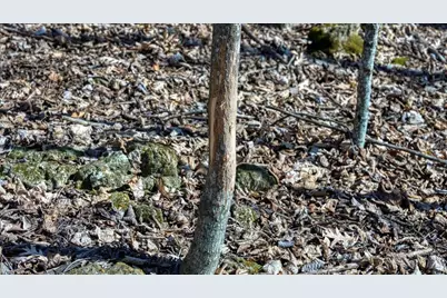 E17497 Gross Valley Lane, Hillsboro, WI 54634 - Photo 33